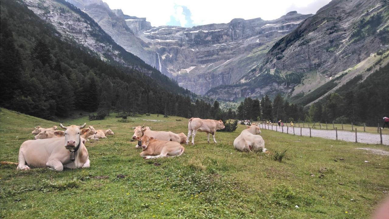 Studio En Pleine Montagne Avec Vue Sur Marmottes La Mongie Exteriér fotografie