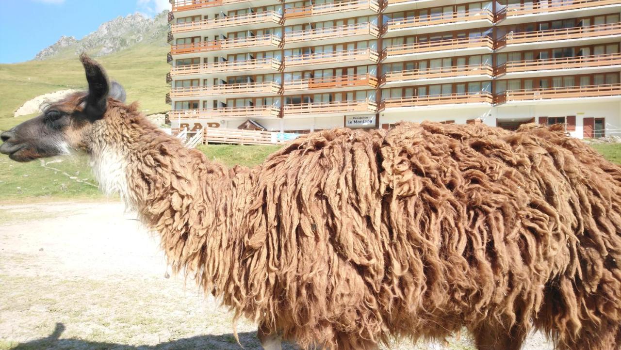 Studio En Pleine Montagne Avec Vue Sur Marmottes La Mongie Exteriér fotografie